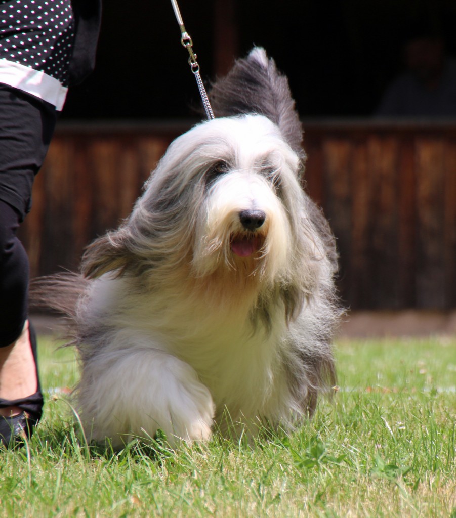 Foto: Iris Berndt/Antonietta Pallavicini